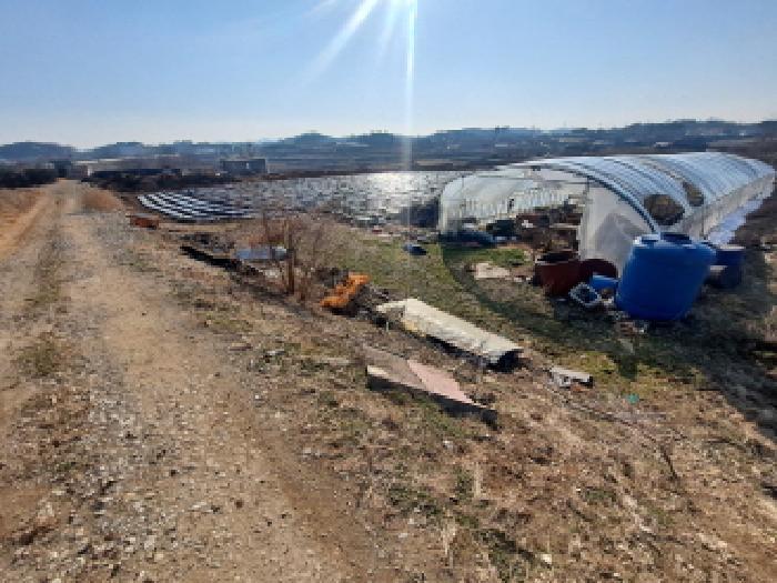 충청남도 당진시 송악읍 전대리 556-1 전 경매 사진 7