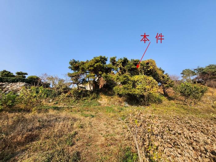 경기도 화성시 남양읍 장덕리 949-8 임야 경매 사진 1