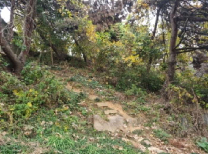 경기도 화성시 남양읍 장덕리 949-8 임야 경매 사진 9