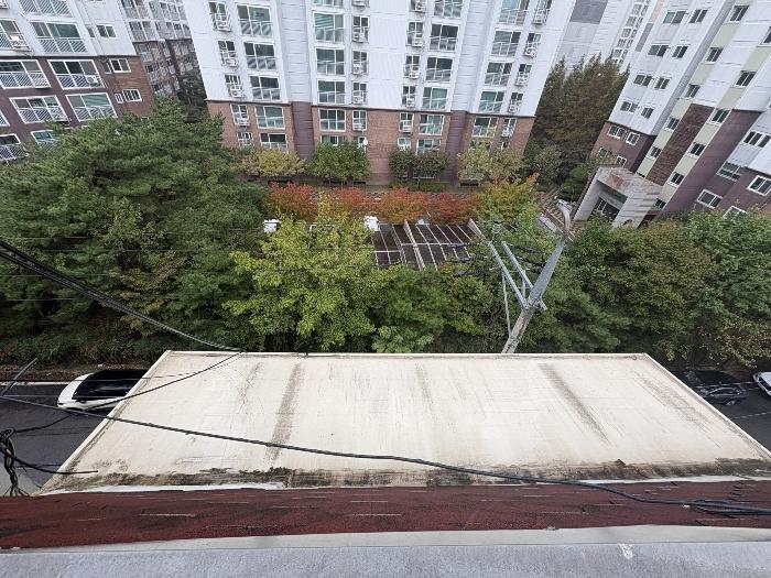 인천광역시 미추홀구 주승로 153-60, 5층501호 (관교동,진명빌라)구) 인천광역시 미추홀구 관교동 451-31 다세대(빌라) 경매 사진 6