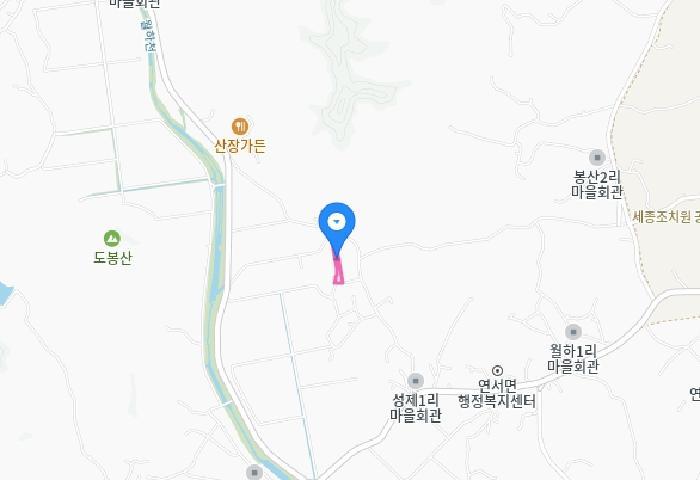 세종특별자치시 연서면 성제리 88-17 답 경매 사진 5