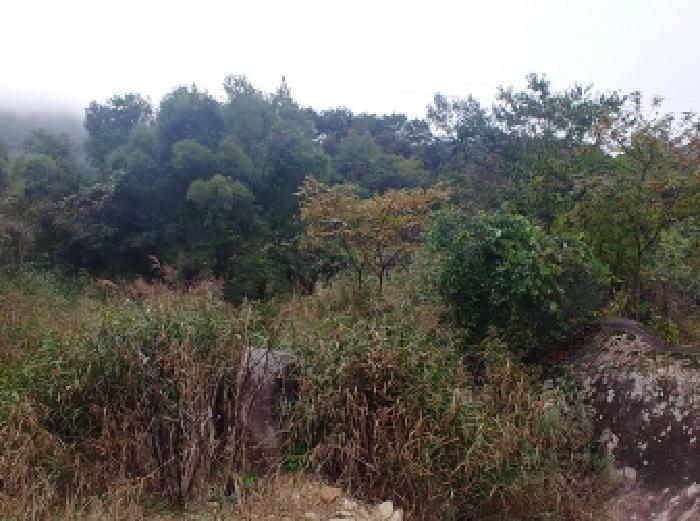 충청남도 금산군 부리면 수통리 40 답 경매 사진 12