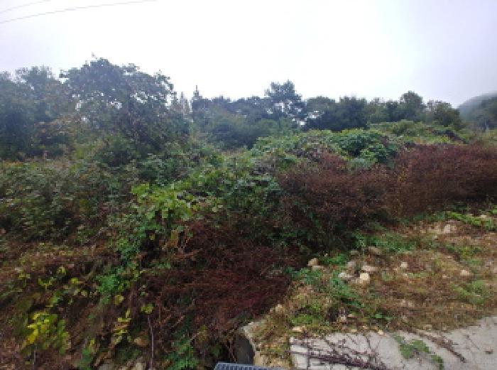충청남도 금산군 부리면 수통리 40 답 경매 사진 9