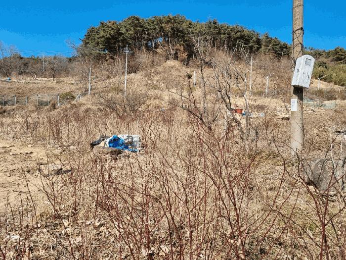 경상남도 양산시 어곡동 1202-3 답 경매 사진 6