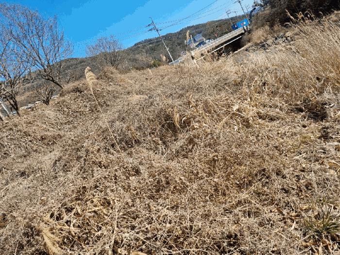 경상남도 양산시 어곡동 1236-3 답 경매 사진 3