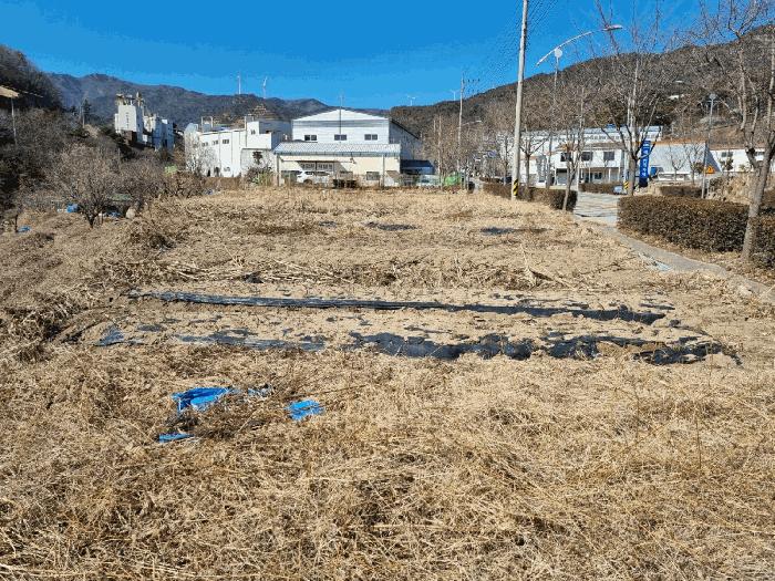 경상남도 양산시 어곡동 1236-3 답 경매 사진 7