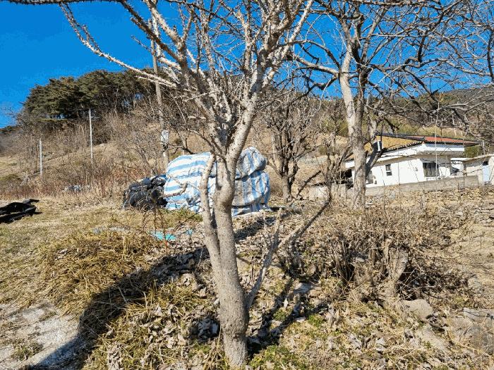 경상남도 양산시 어곡동 1236-3 답 경매 사진 8