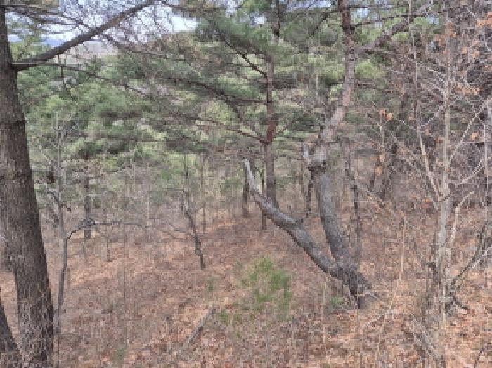 울산광역시 북구 달천동 산166 임야 경매 사진 10