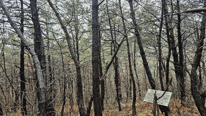 울산광역시 북구 달천동 산166 임야 경매 사진 2