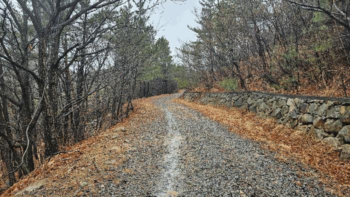 울산광역시 북구 달천동 산166 임야 경매 사진 7