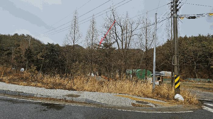 울산광역시 북구 달천동 산166-3 임야 경매 사진 3