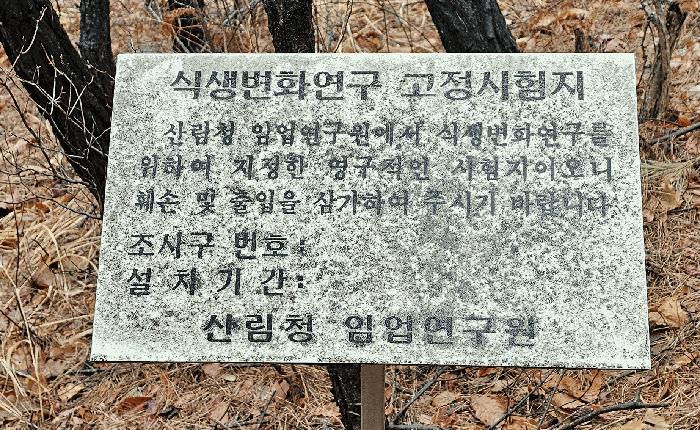 울산광역시 북구 달천동 산166-3 임야 경매 사진 8