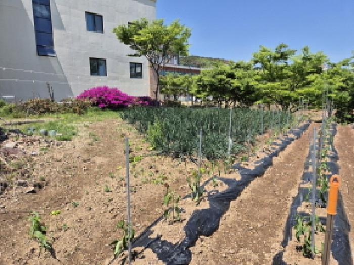 울산광역시 북구 산하동 1016-37 대지 경매 사진 10