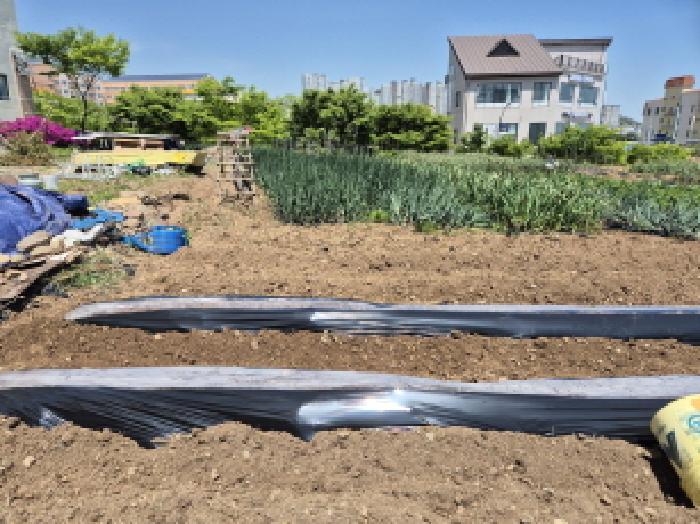 울산광역시 북구 산하동 1016-37 대지 경매 사진 9