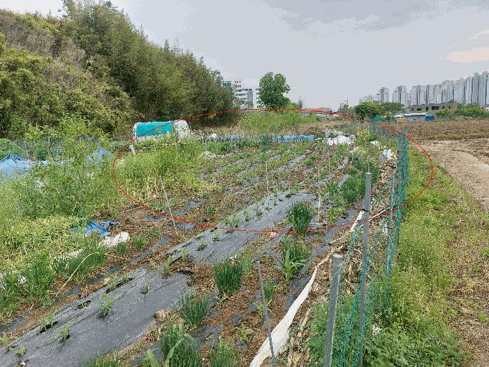 울산 북구 답