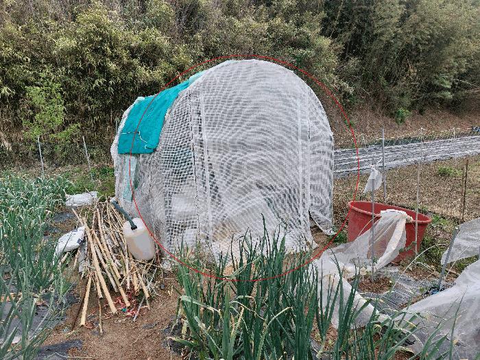 울산광역시 북구 천곡동 715 답 경매 사진 2
