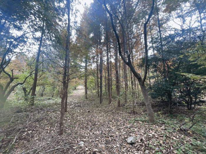 경상남도 창원시 성산구 주택