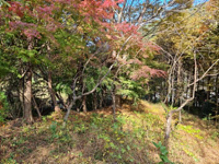 경상남도 창원시 성산구 양곡동 1091 주택 경매 사진 20
