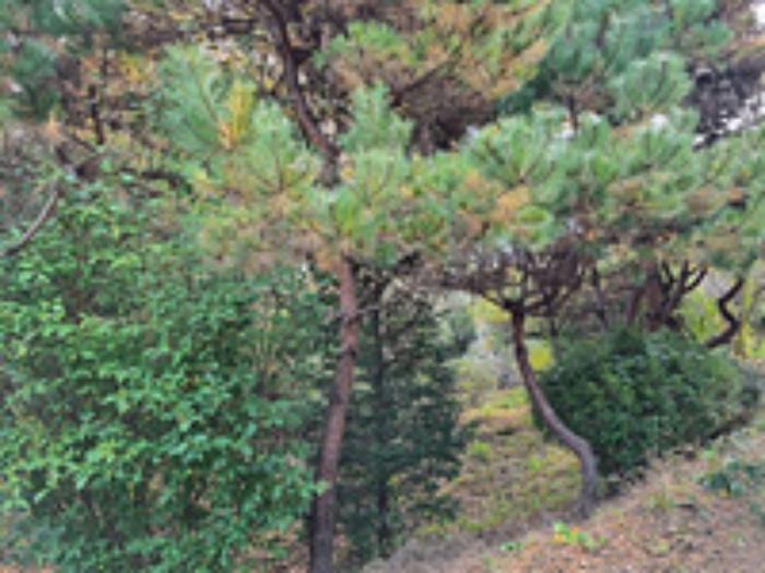 경상남도 창원시 성산구 양곡동 1091 주택 경매 사진 23