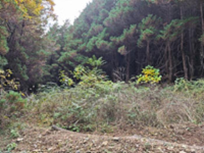 경상남도 창원시 성산구 양곡동 1091 주택 경매 사진 26