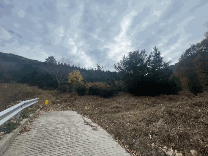 경상남도 창원시 성산구 양곡동 1091 주택 경매 사진 4