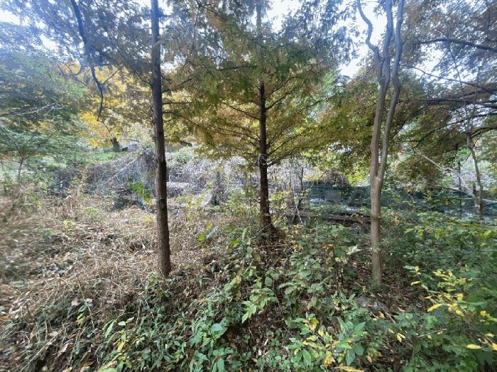 경상남도 창원시 성산구 양곡동 1091 주택 경매 사진 8