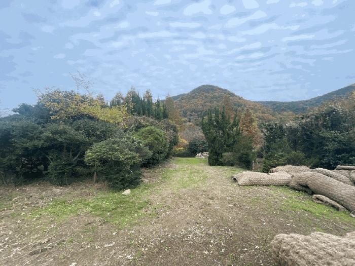 경상남도 창원시 성산구 양곡동 1091 주택 경매 사진 9