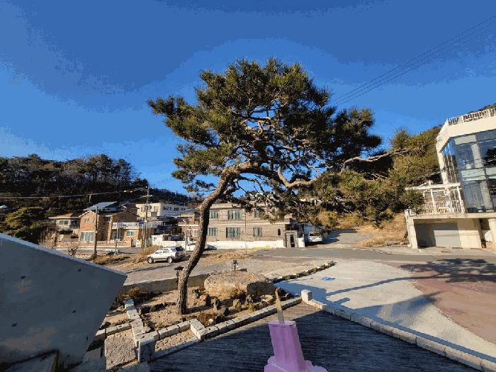 경상남도 창원시 성산구 귀산동 607 근린시설 경매 사진 14