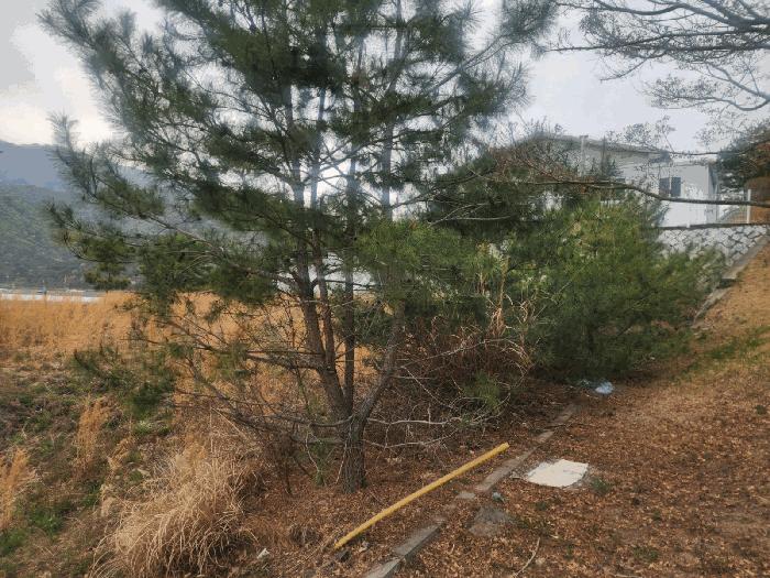 경상남도 김해시 상동면 여차리 1606 대지 경매 사진 3
