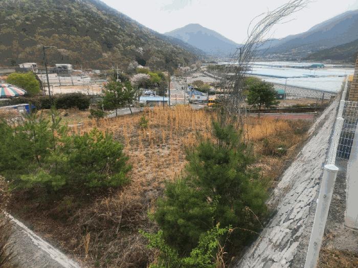 경상남도 김해시 상동면 여차리 1606 대지 경매 사진 6