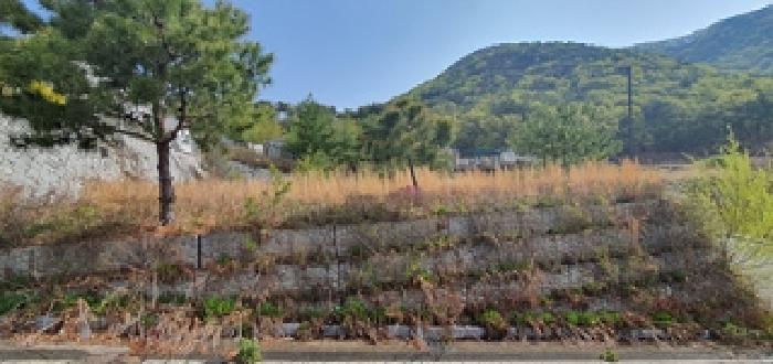 경상남도 김해시 상동면 여차리 1606 대지 경매 사진 7