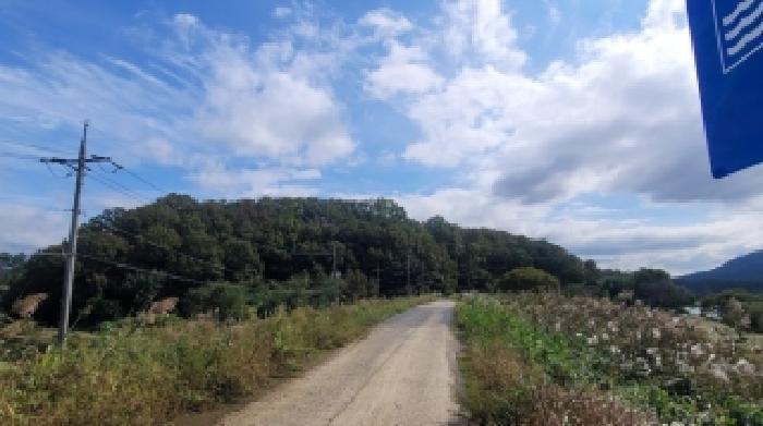 경상남도 함안군 군북면 월촌리 산140-1 임야 경매 사진 9