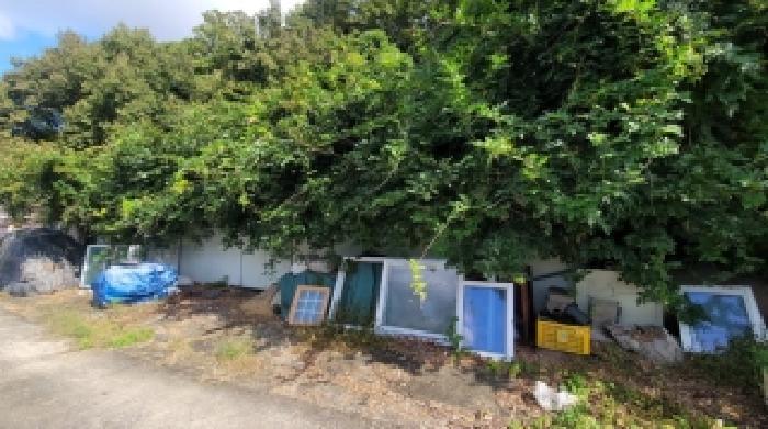 경상남도 함안군 군북면 월촌리 산140-7 임야 경매 사진 14