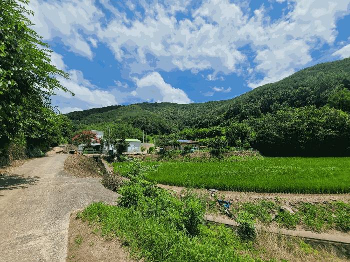 경상남도 의령군 지정면 득소리 601 주택 경매 사진 24