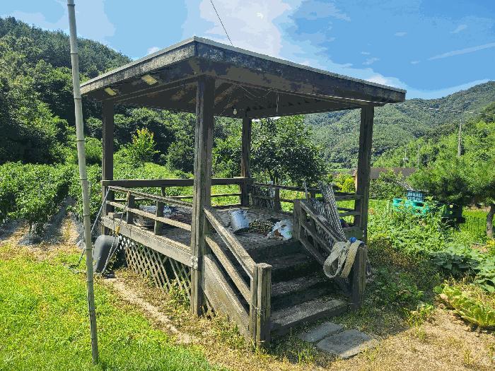 경상남도 의령군 지정면 득소리 608 답 경매 사진 2