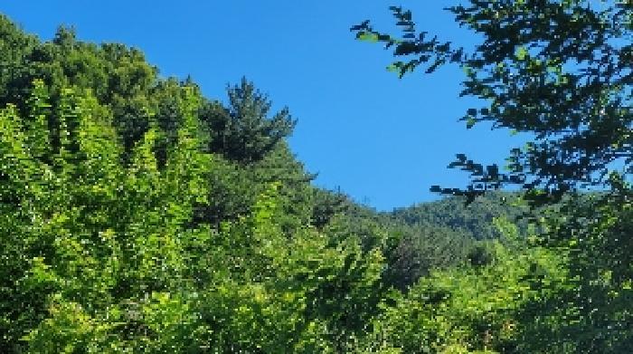 경상남도 의령군 지정면 득소리 608 답 경매 사진 52