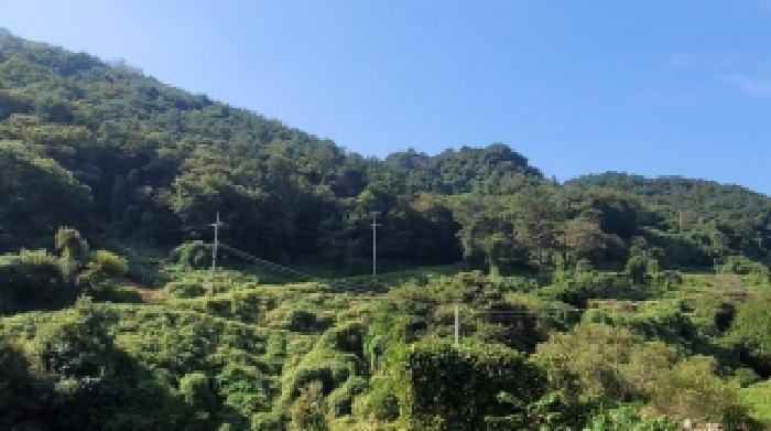 경상남도 의령군 부림면 감암리 산82-6 임야 경매 사진 7