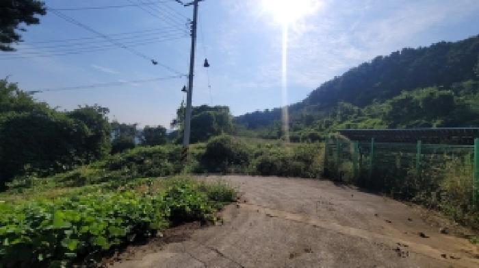 경상남도 의령군 부림면 감암리 산82-6 임야 경매 사진 8