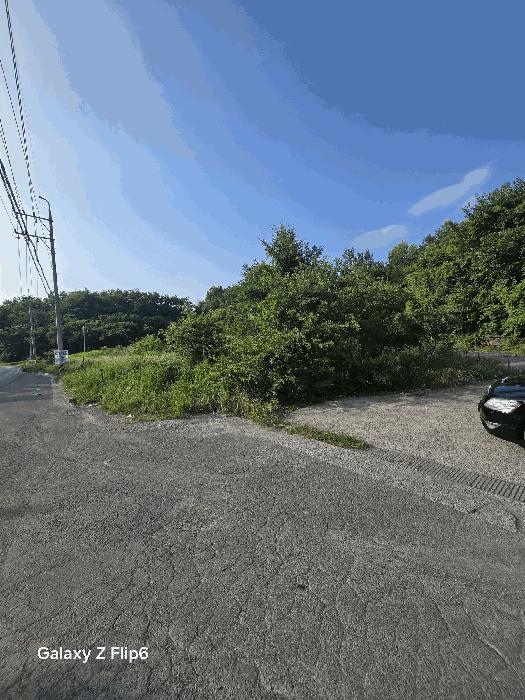 경상남도 함안군 칠서면 대치리 954 근린시설 경매 사진 5