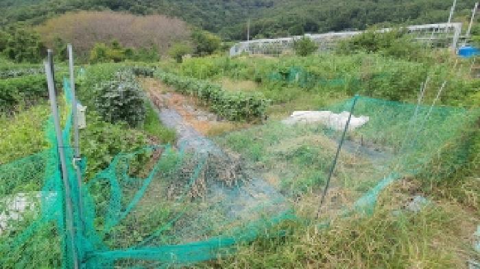 경상남도 창원시 마산합포구 덕동동 282 답 경매 사진 4