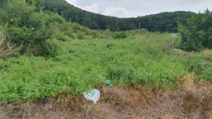 경상남도 창원시 마산합포구 덕동동 282 답 경매 사진 6