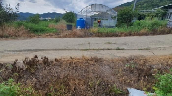 경상남도 창원시 마산합포구 덕동동 335 답 경매 사진 7