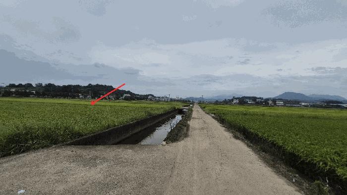 경상남도 함안군 군북면 중암리 825-6 답 경매 사진 4
