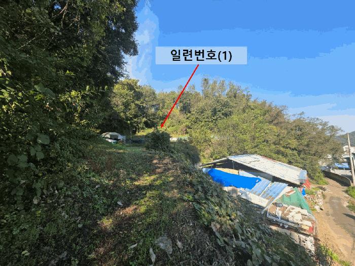 경상남도 함안군 칠원읍 구성리 산64 임야 경매 사진 6