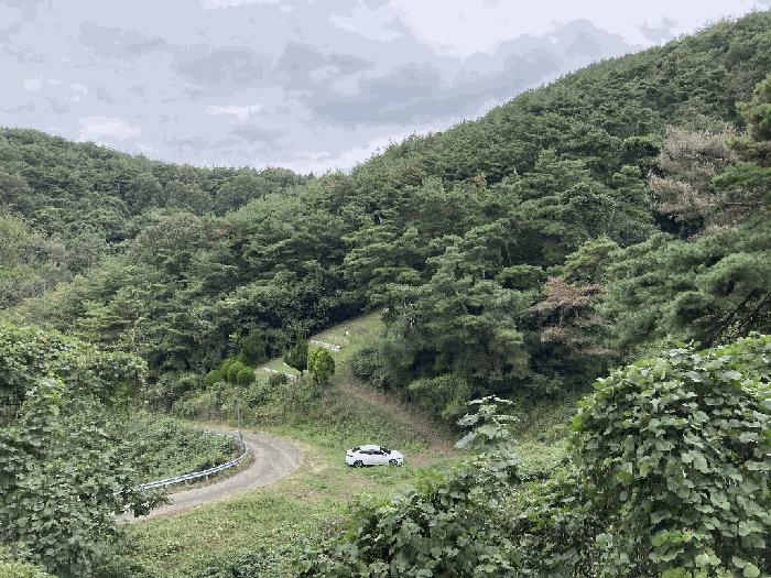 경상남도 의령군 지정면 득소리 607-3 답 경매 사진 13
