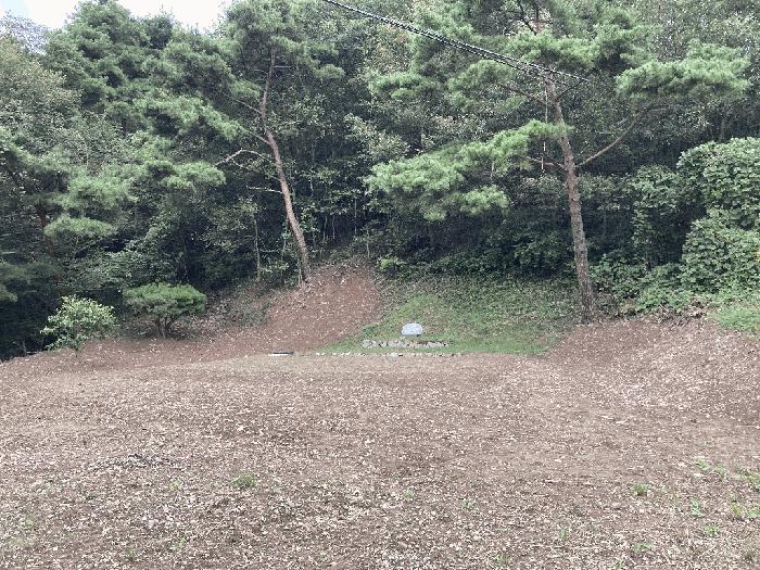 경상남도 의령군 지정면 득소리 607-3 답 경매 사진 15