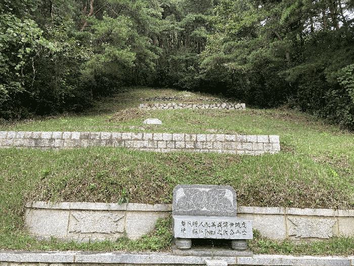 경상남도 의령군 지정면 득소리 607-3 답 경매 사진 16