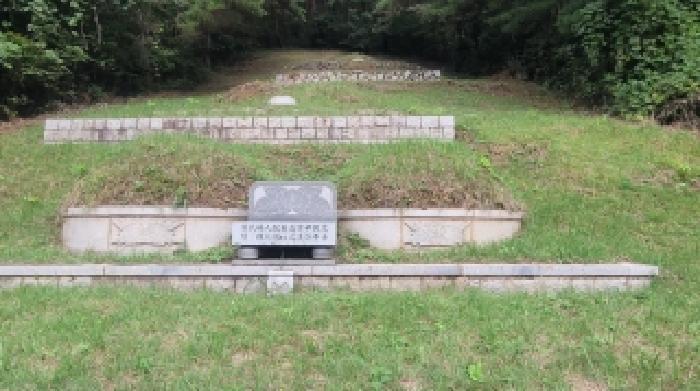 경상남도 의령군 지정면 득소리 607-3 답 경매 사진 39