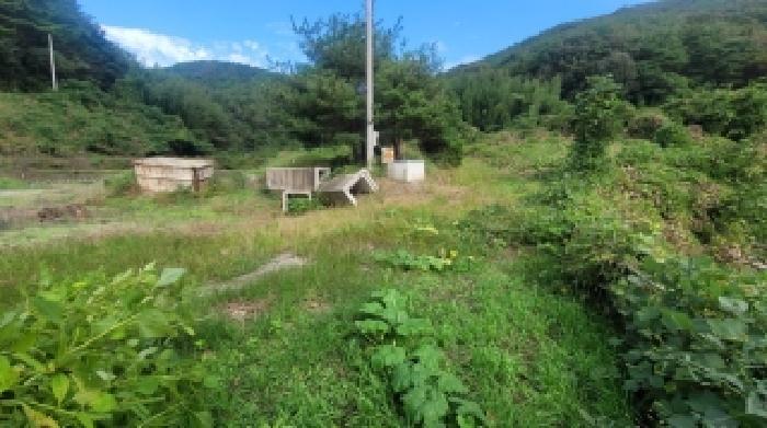 경상남도 의령군 지정면 득소리 607-3 답 경매 사진 43
