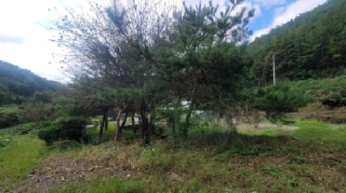 경상남도 의령군 지정면 득소리 607-3 답 경매 사진 49